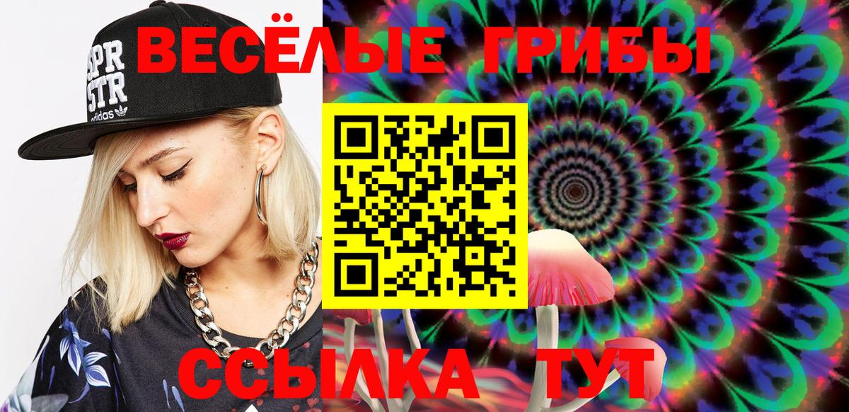 Галлюциногенные грибы Psilocybe Вятские Поляны